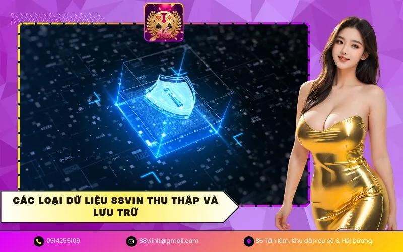 Các loại dữ liệu 88VIN thu thập và lưu trữ