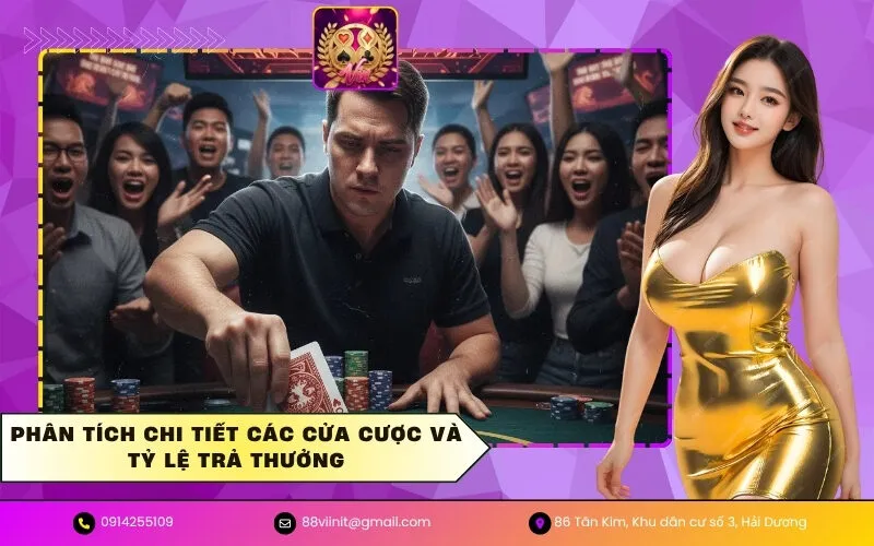 Phân tích chi tiết các cửa cược và tỷ lệ trả thưởng