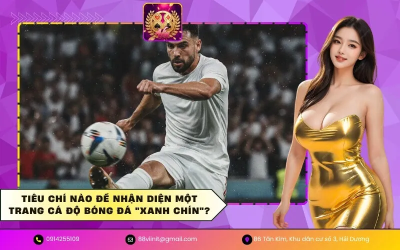 Tiêu chí nào để nhận diện một trang cá độ bóng đá xanh chín